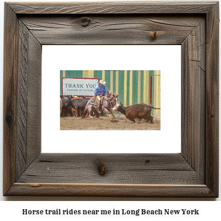 horse trail rides near me in Long Beach, New York